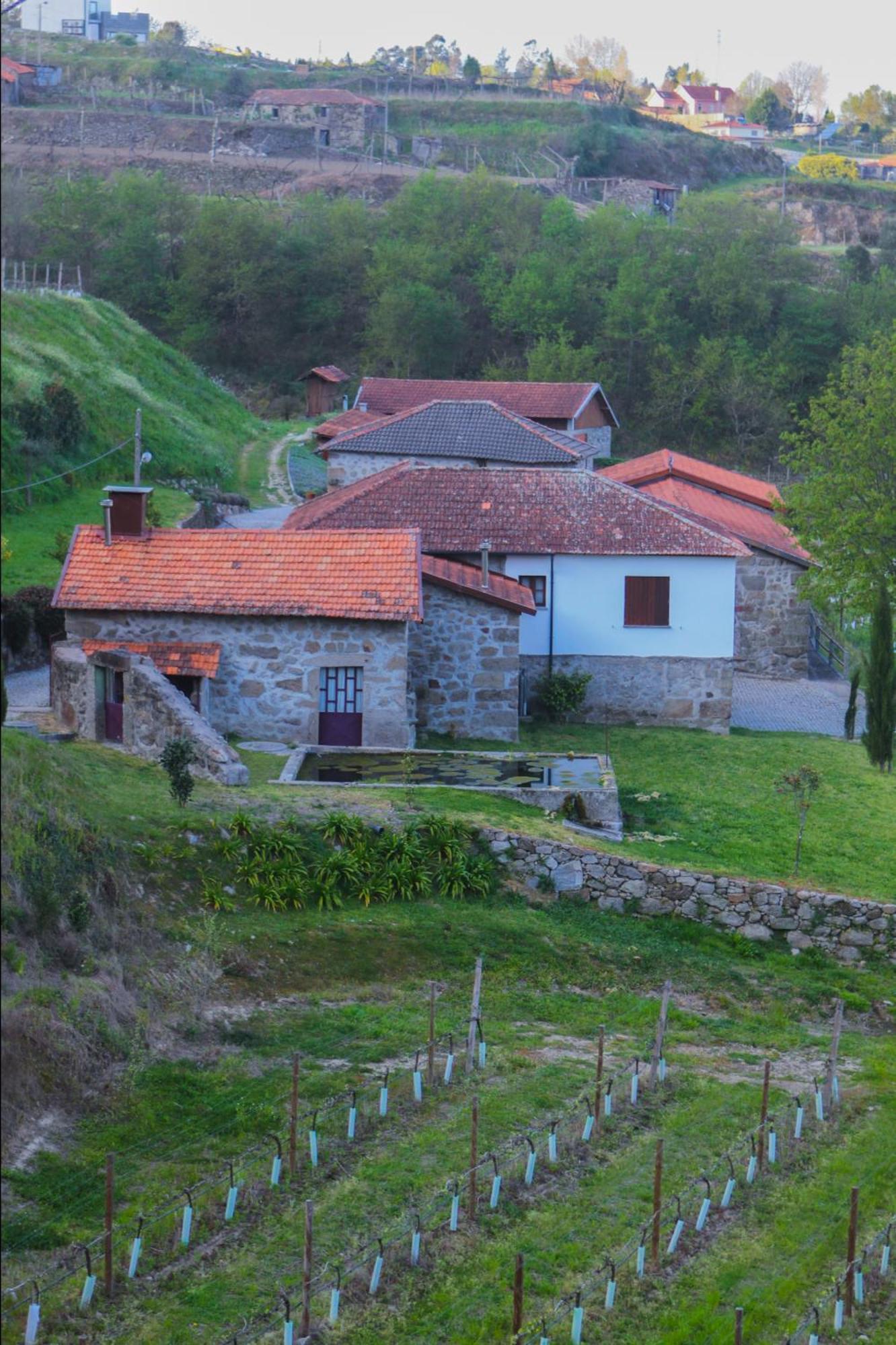 The Farmhouse I - Uma Quinta Deslumbrante Felgueiras Exterior photo